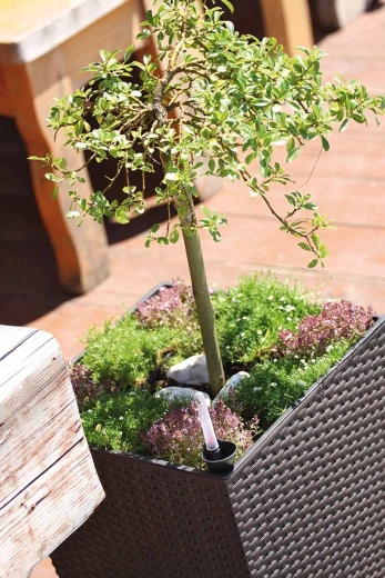 Practical inner insert for quick planting