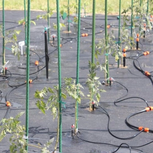 Easy installation and tidy layout