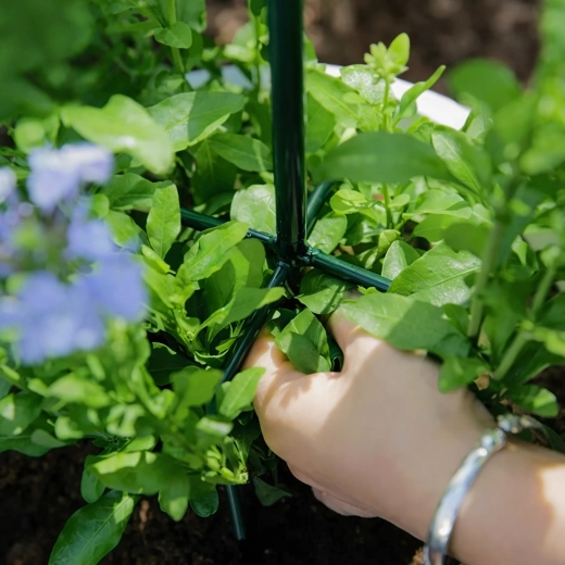 Stabiele steun voor gezonde groei