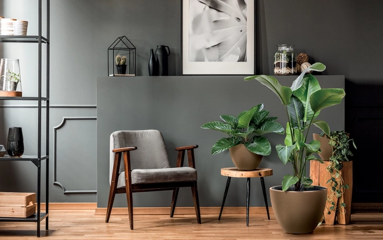 Aspect naturel qui s’accorde avec un intérieur moderne