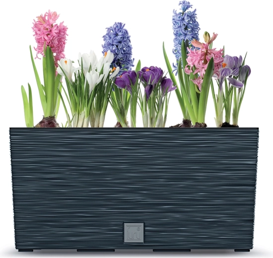 Design étroit et moderne pour plus de plantes