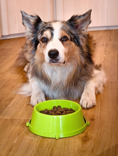 Adaptée à l’eau et à la nourriture