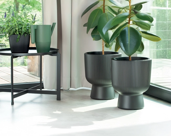 Practical insert for better plant care