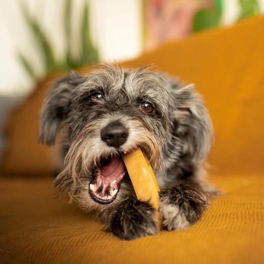Leicht verdaulich und ohne unnötige Allergene