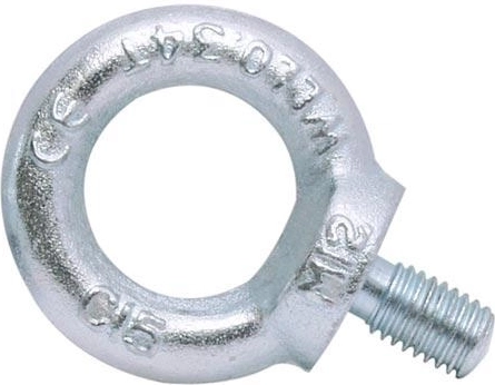 Oogbout M12 DIN 580 (10 stuks)