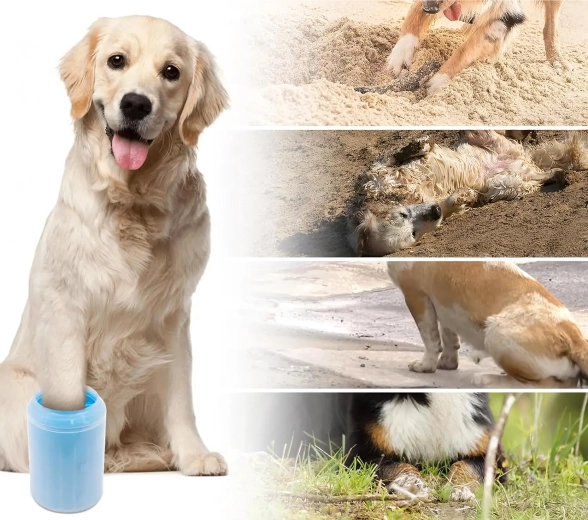 Schone auto en vloer na elke wandeling