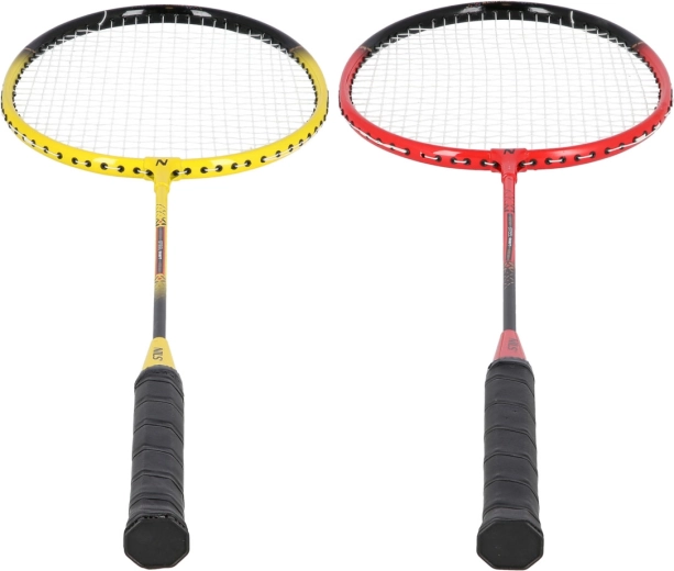 Complete set met net en telescooppalen