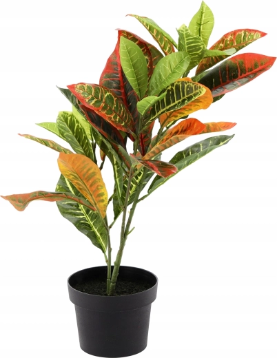 Null Pflege, maximale Wirkung