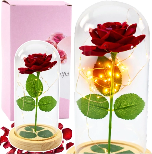 Ewige rote Rose unter einer Glaskuppel mit LED-Beleuchtung