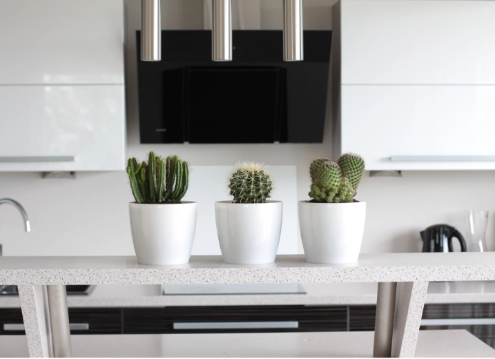 Ideal for modern interiors