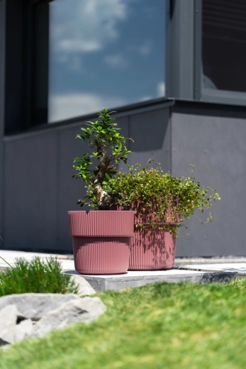 Bestand tegen vorst, hitte en UV-straling