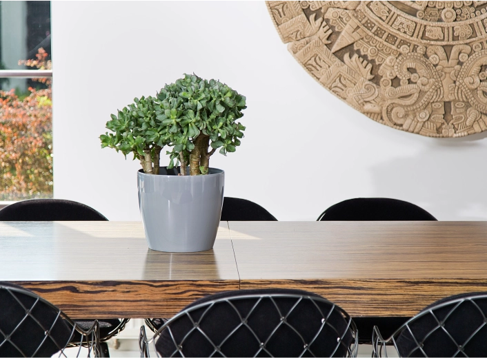 Finition brillante élégante et design moderne