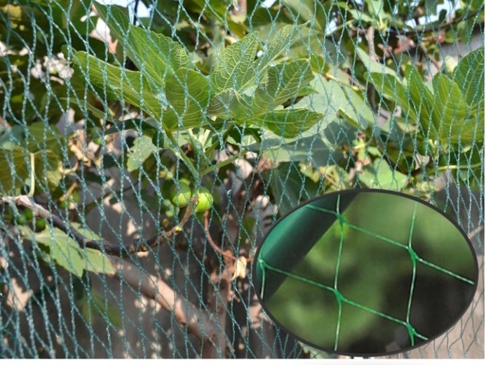 Protection de jardin discrète et efficace
