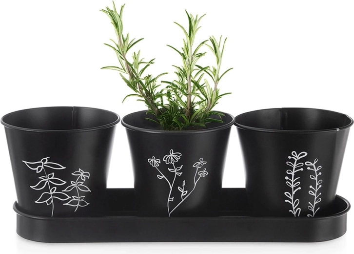 Kräutertopf-Set mit Untersetzer Blackline, 4-teilig