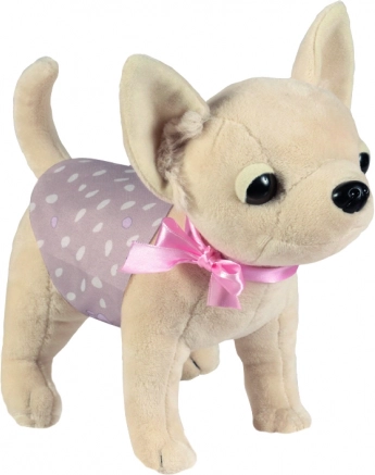 Chihuahua-Hündchen DIDI