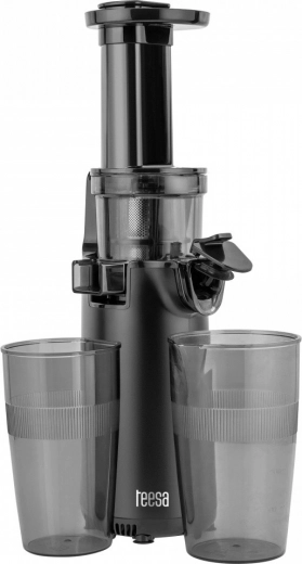 Extracteur à jus lent Teesa TSA3233
