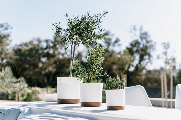 Taille compacte pour les petites plantes