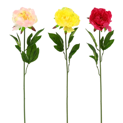 Realistische Schönheit ohne Pflegeaufwand