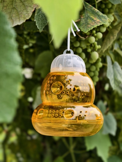 Easy to hang anywhere