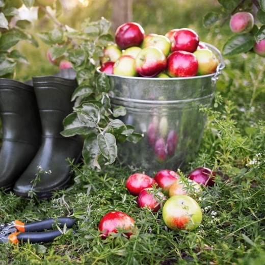 Vielseitig in Haushalt und Garten