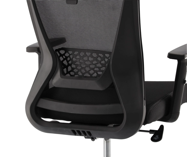 Breathable mesh back with lumbar support