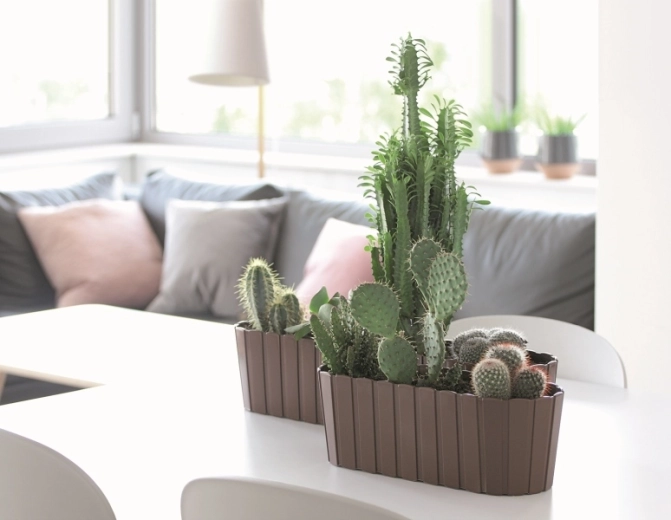 Idéal pour rebords de fenêtre et surfaces étroites