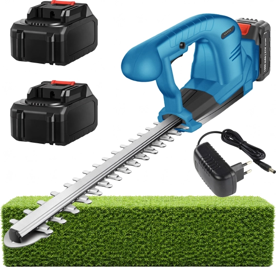 Set met 2× accu en oplader