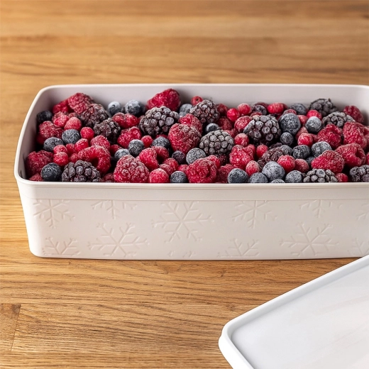 Congélation sûre et organisation