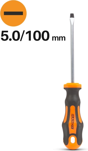 Tournevis plat 5,0 × 100 mm