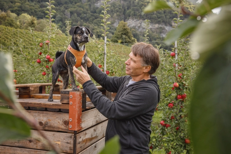 Easy one-handed fastening