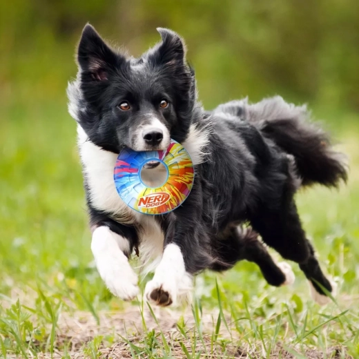 Quietschgeräusch zur Steigerung der Spielmotivation