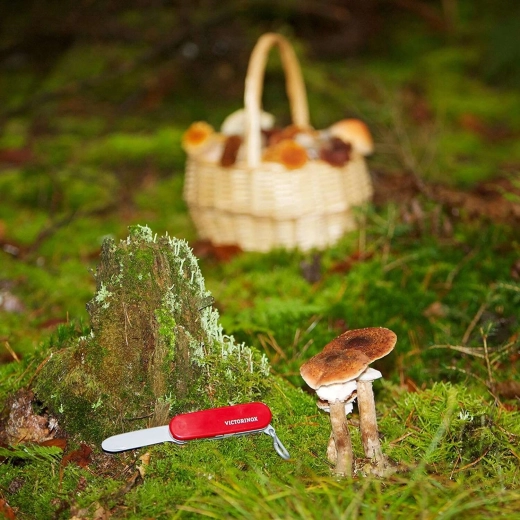 Gelicenseerd VICTORINOX-design