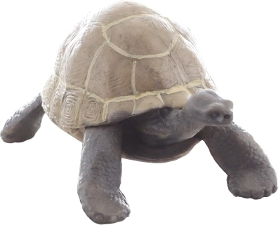 Taille compacte pour la main d’un enfant