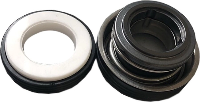 Set mechanische Gleitringdichtung für Pumpe Prostar 4 (bis 2014) – Welle und Turbine