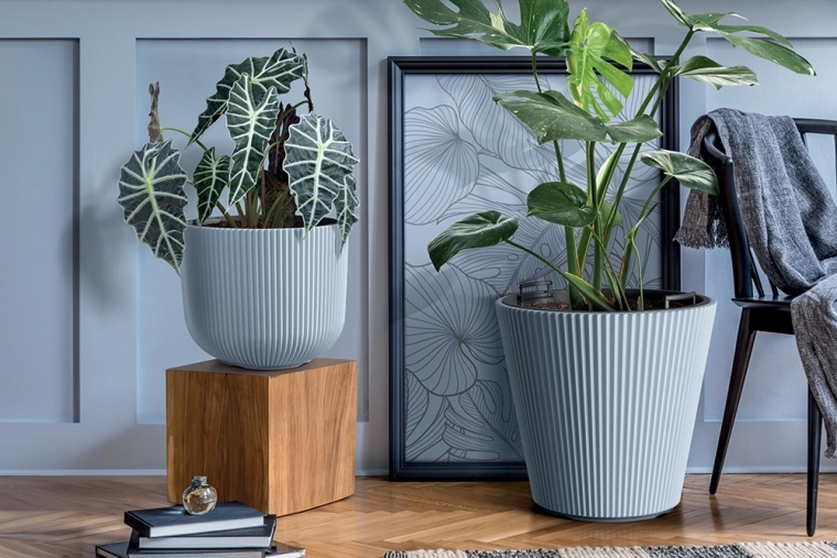 Design moderne avec fin rainurage