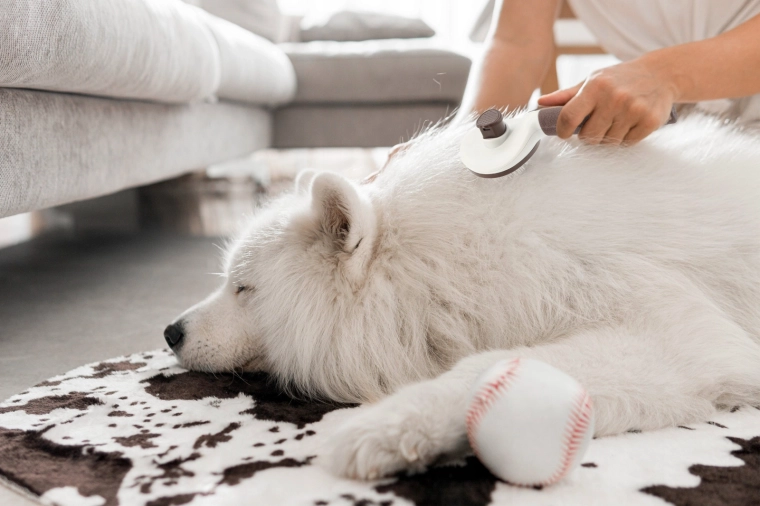Comfortable at-home brushing