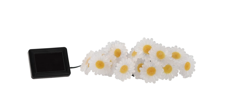 Magical floral ambiance