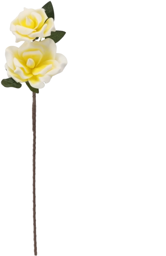 Two blooms on one stem for a fuller look