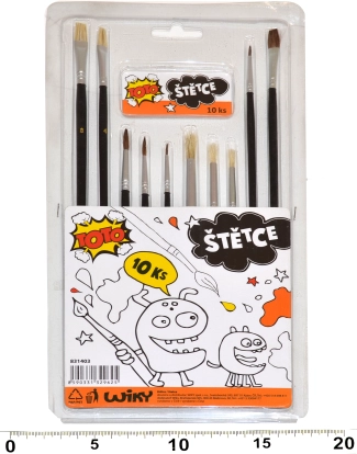 Set schilderkwasten - 10 stuks