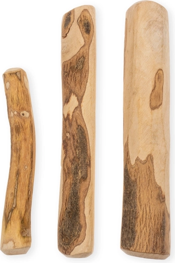 Ondersteuning van de gebitshygiëne