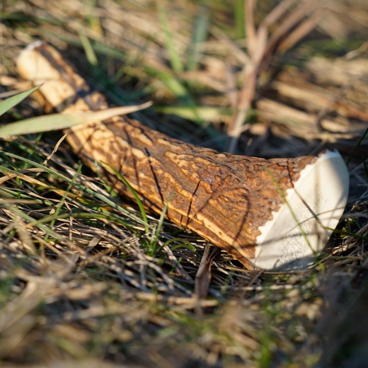 Sustainable and natural product