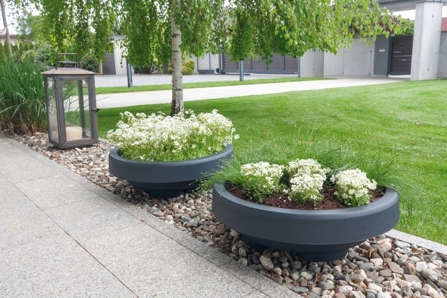 Attractive look for any garden