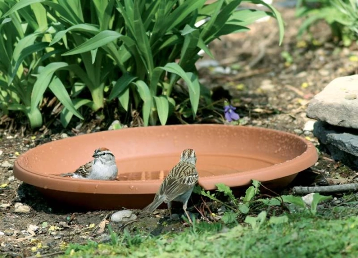 Multifunctional use in the garden and on the balcony