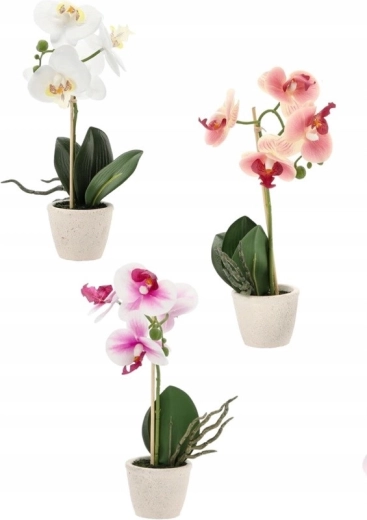 Assortiment de trois couleurs élégantes