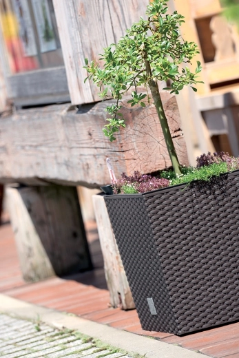 Lightweight and durable plastic for easy maintenance