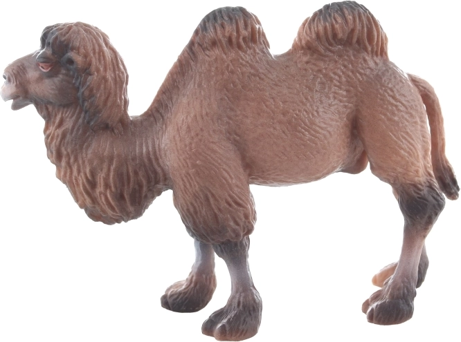 Dimensions compactes pour une utilisation facile