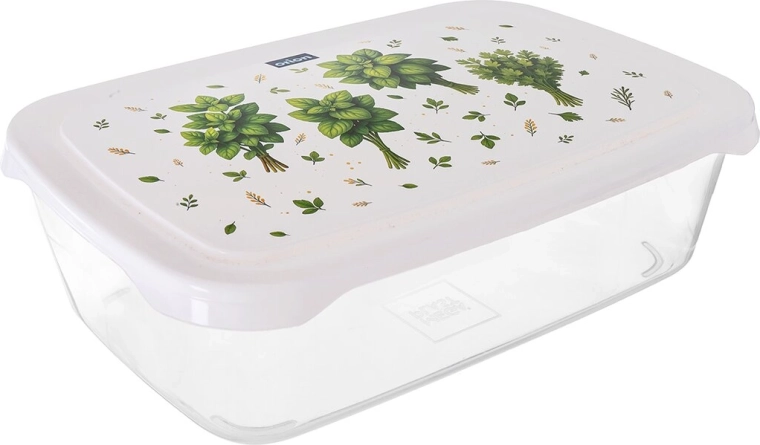 Frost Premium Rectangular Plastic Container 2 L