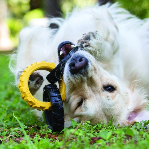 Interaktiver Spielspaß drinnen und draußen