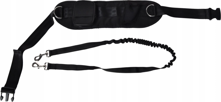 Laisse bungee élastique qui amortit les tractions