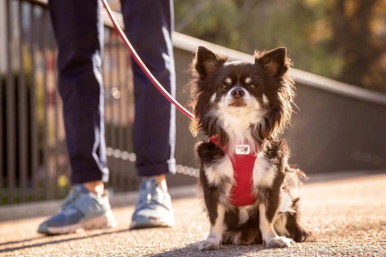 Breathable Air-Mesh with cooling effect